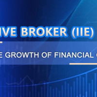 Interactive Broker (IIE) - Decoding the Growth of Financial Giants